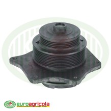 Pompa Acqua per Trattori