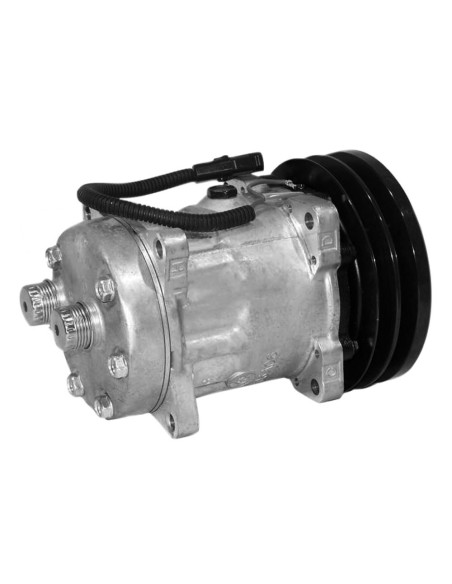 Compressore SANDEN Puleggia 2x152 mm