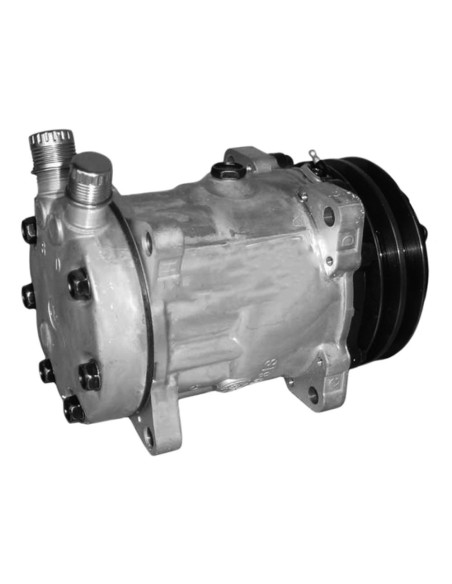 Compressore ECO Puleggia 2x132 mm