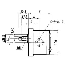 Pompa ad ingranaggi 25 cc Sinistra GRUPPO 2 max 175 bar