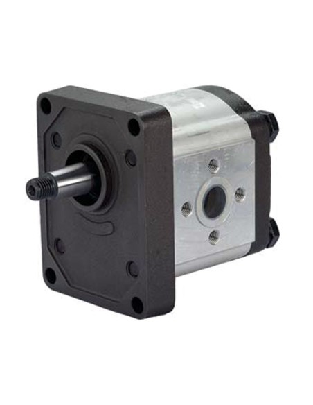 Pompa ad ingranaggi 12 cc Destra GRUPPO 2 max 250 bar Albero Conico