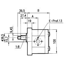 Pompa ad ingranaggi 12 cc Destra GRUPPO 2 max 250 bar Albero Conico