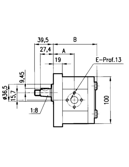 Pompa ad ingranaggi 14 cc Sinistr  GRUPPO 2 max 250 bar Albero Conico
