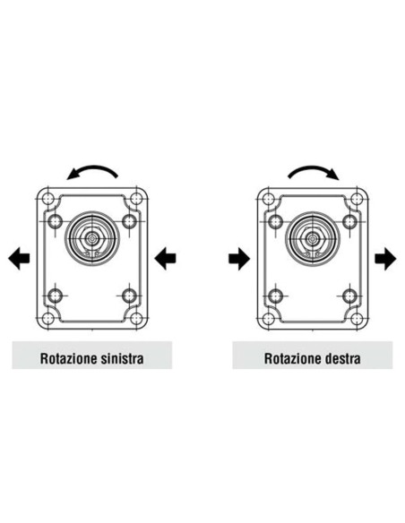 Pompa ad ingranaggi 19 cc Destra GRUPPO 2 max 250 bar Albero Conico