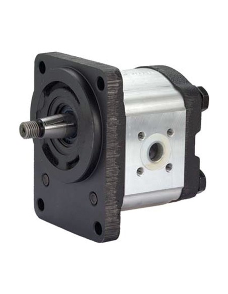 Pompa ad Ingranaggi con Flangia Ø 80 Sinistra 14 cc GRUPPO 2