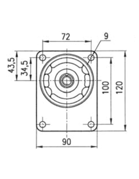 Pompa ad Ingranaggi con Flangia Ø 80 Destra 19 cc GRUPPO 2