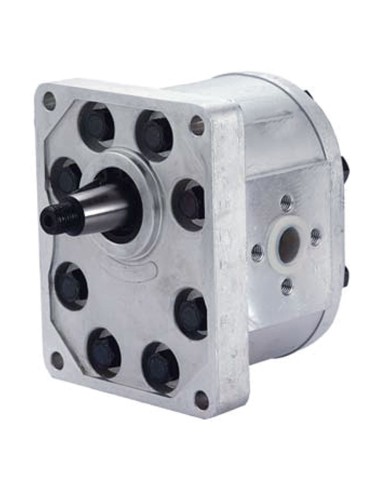 Pompa ad Ingranaggi Destra 33 cc GRUPPO 3 C72X