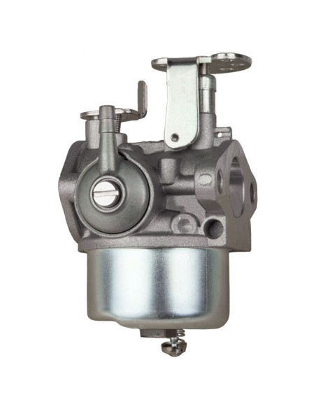 Carburatori dell'ORTO Motore BENASSI FHCD 20.16A