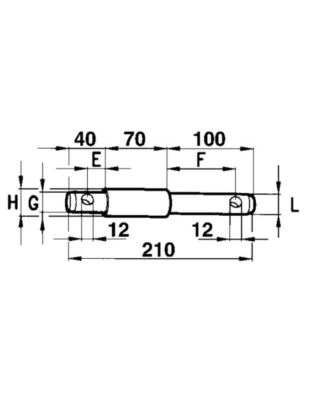 PERNO Doppio Intercambiabile  Ø22 L 210 mm