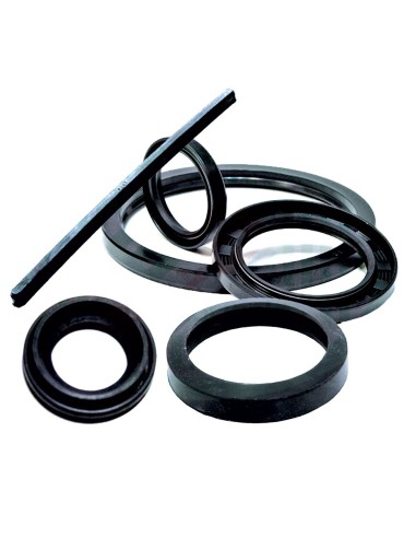 Guarnizioni Trattore FIAT 4957400