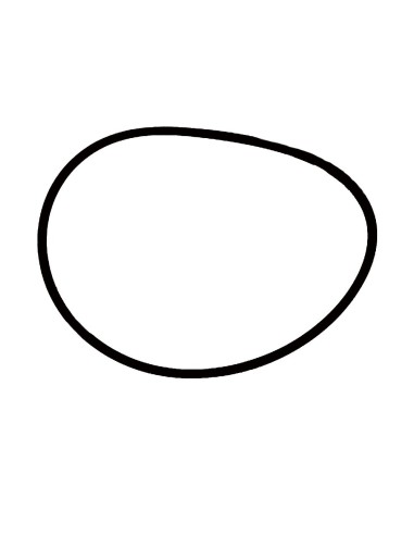 Guarnizione Coperchio Scatola Convertitore FIAT 79007210