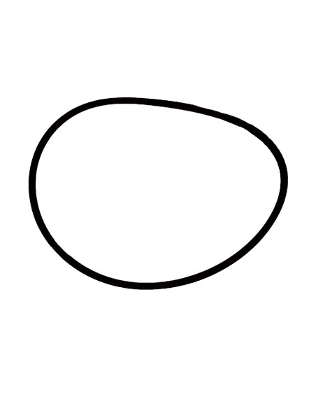 Guarnizione Coperchio Scatola Convertitore FIAT 79007210