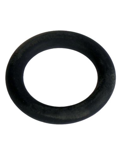 Guarnizione Coperchio Scatola Convertitore FIAT 79006852