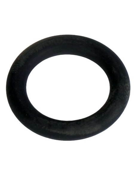 Guarnizione Coperchio Scatola Convertitore FIAT 79006852