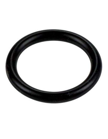 Guarnizione in Viton FIAT 14457381