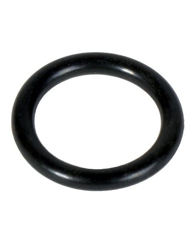 Guarnizione Forcella Differenziale in Viton FIAT 14457281