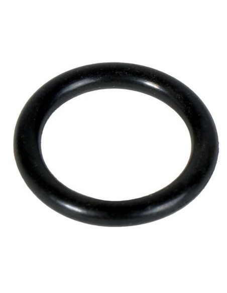 Guarnizione Forcella Differenziale in Viton FIAT 14457281