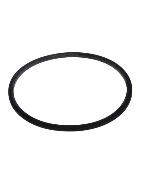 Guarnizione Filtro Olio FIAT 4979714