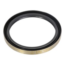 Anello Paraolio 110x135x13 mm B1VISLRS FIAT 40002810