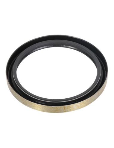 Anello Paraolio 110x135x13 mm B1VISLRS FIAT 40002810