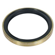 Anello Paraolio 110x135x13 mm B1VISLRS FIAT 40002810