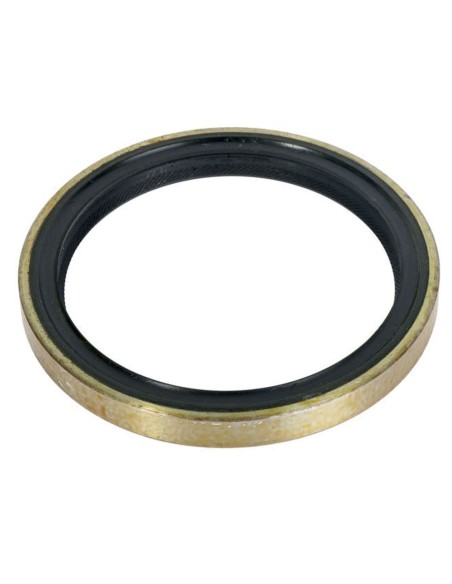 Anello Paraolio 110x135x13 mm B1VISLRS FIAT 40002810