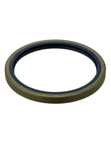 Anello Paraolio 120x100x10 mm LE FIAT 40000760