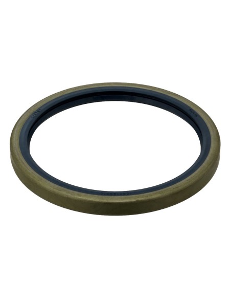 Anello Paraolio 120x100x10 mm LE FIAT 40000760