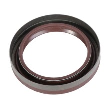 Anello Paraolio 100x75x17 mm LDT2D Viton FIAT 38819123