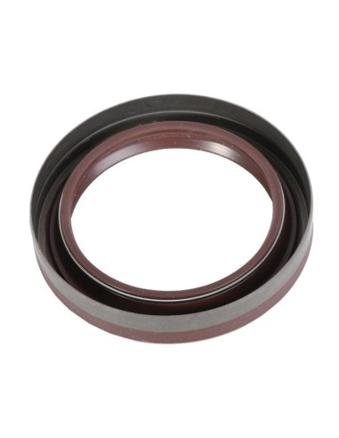 Anello Paraolio 100x75x17 mm LDT2D Viton FIAT 38819123