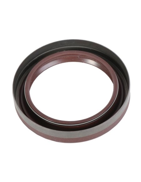Anello Paraolio 100x75x17 mm LDT2D Viton FIAT 38819123