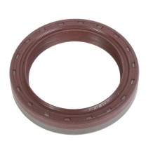 Anello Paraolio 100x75x17 mm LDT2D Viton FIAT 38819123