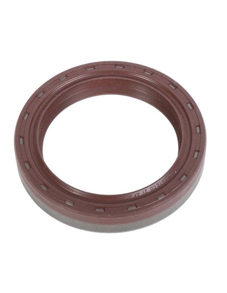 Anello Paraolio 100x75x17 mm LDT2D Viton FIAT 38819123