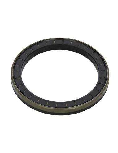 Anello Paraolio 35x55x10 mm B1 FIAT 12011497B