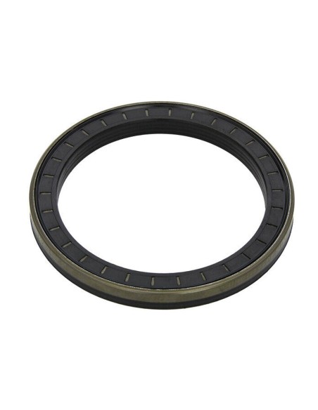 Anello Paraolio 35x55x10 mm B1 FIAT 12011497B