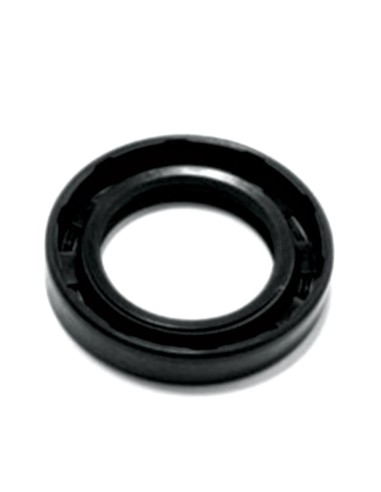 Anello Paraolio 35x55x10 mm DT FIAT 40000600