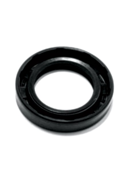 Anello Paraolio 35x55x10 mm DT FIAT 40000600