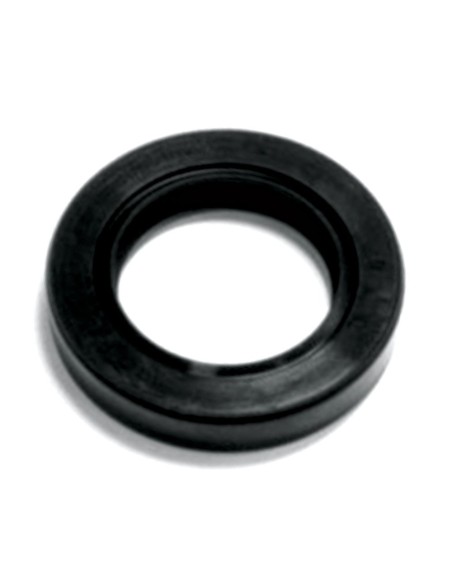 Anello Paraolio 35x55x10 mm DT FIAT 40000600