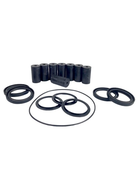 Serie Anelli Gruppo Inversione FIAT 4950608