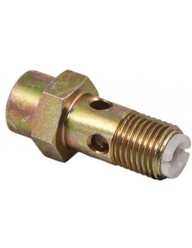 RACCORDO CON FILTRO INCORPORATO 2443456018