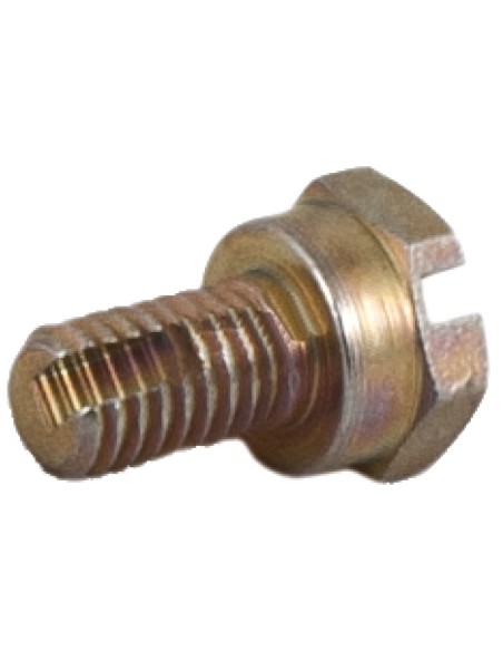 Vite di Spurgo M6 mm Tipo Originale Bosch