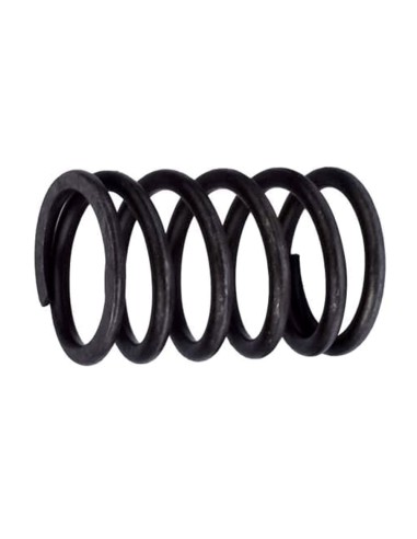 Molla per Valvola Pompa Alimentazione