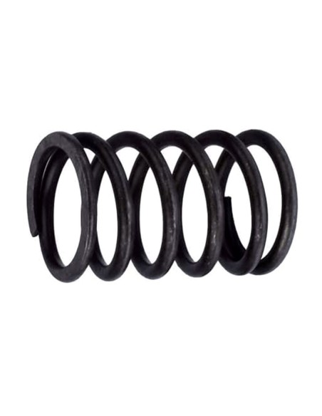 Molla per Valvola Pompa Alimentazione