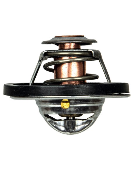 Termostato per Trattore FIAT 4823211