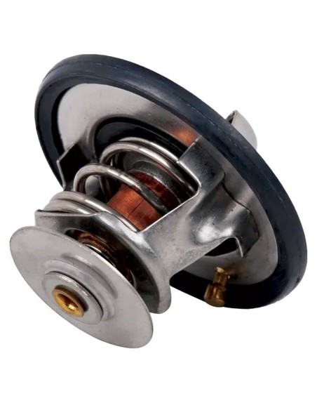 Termostato per Trattore FIAT 4823211