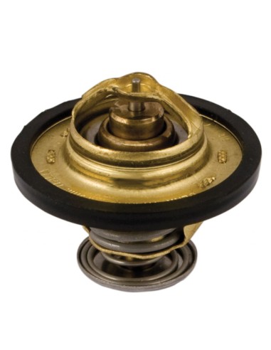 Termostato per Trattore PERKINS-LANDINI 2485679