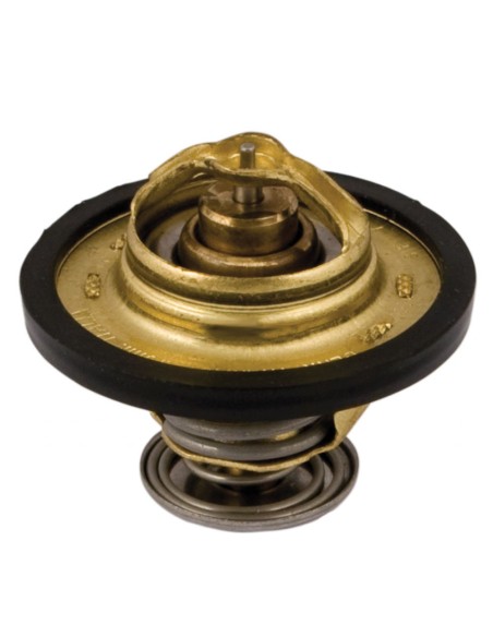 Termostato per Trattore PERKINS-LANDINI 2485679