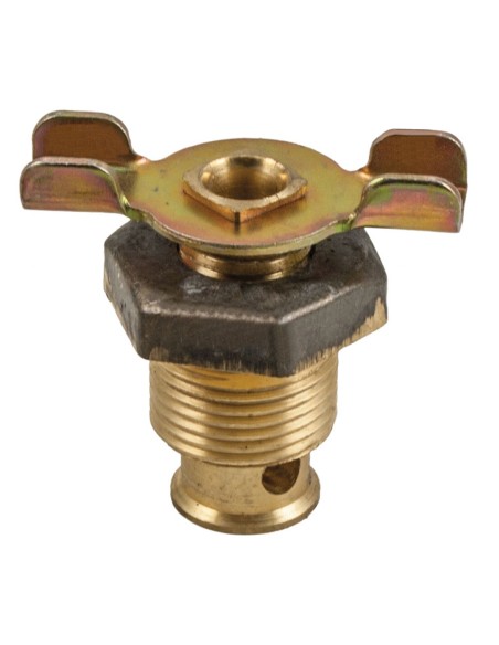 Rubinetto Spurgo Scarico Radiatore FIAT 597088