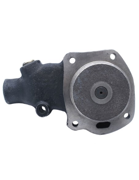 Pompa Acqua compatibile LANDINI 4131A021