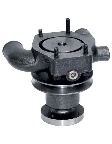 Pompa Acqua compatibile LANDINI 41312487